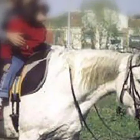 Casale Mariscoli 3* Cava deʼ Tirreni