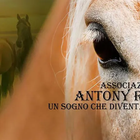 Casale Mariscoli Bed & Breakfast Cava deʼ Tirreni